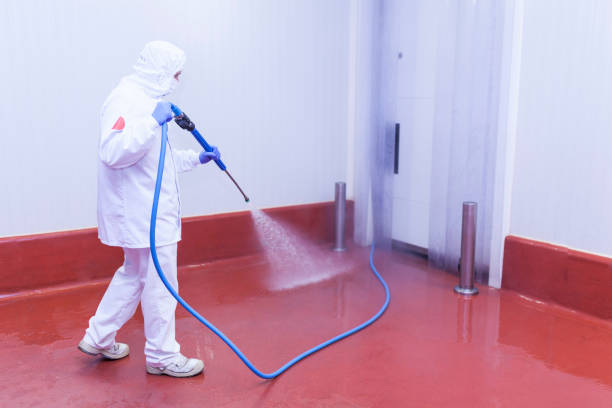 Best Paint Preparation  in Champion Heights, OH